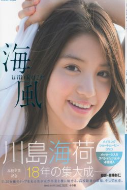 先干为敬黄包车